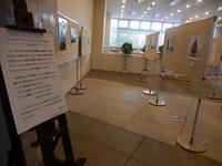 ユーモアフォトコンテスト告知展～「人×○○」偶然撮れた？フォト～