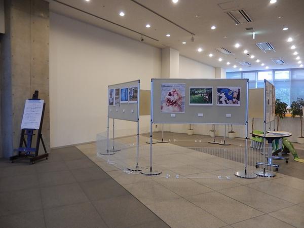 DSCN1312.JPG